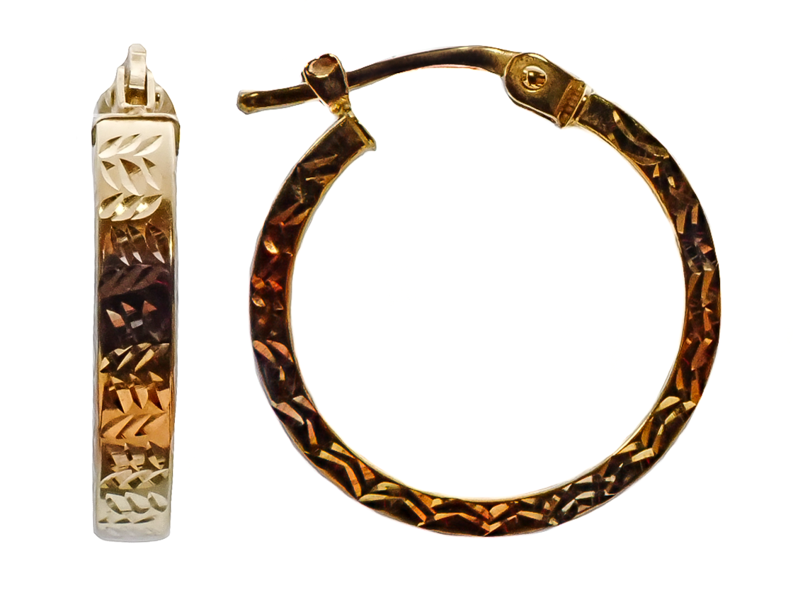 Precious Metal (No Stones) Earring