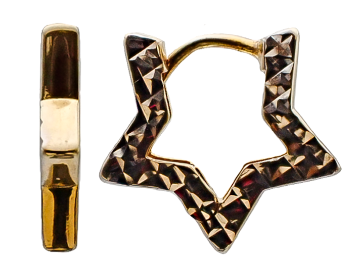 Precious Metal (No Stones) Earring