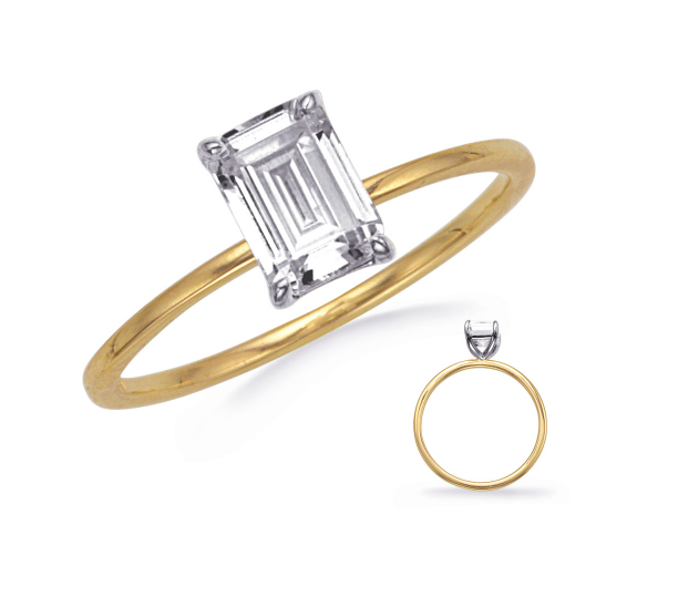 Precious Metal (No Stones) Remount