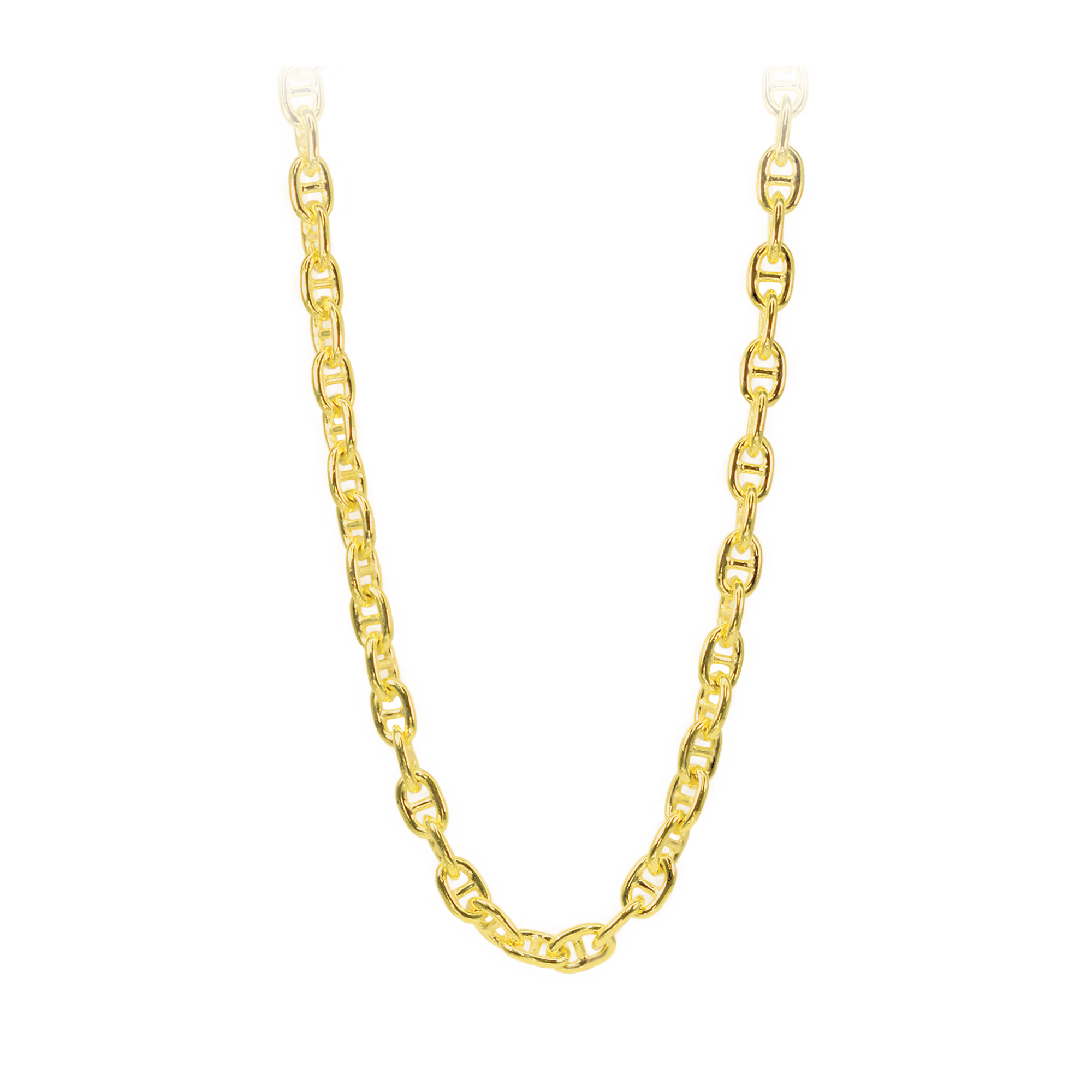 Silver Chain
