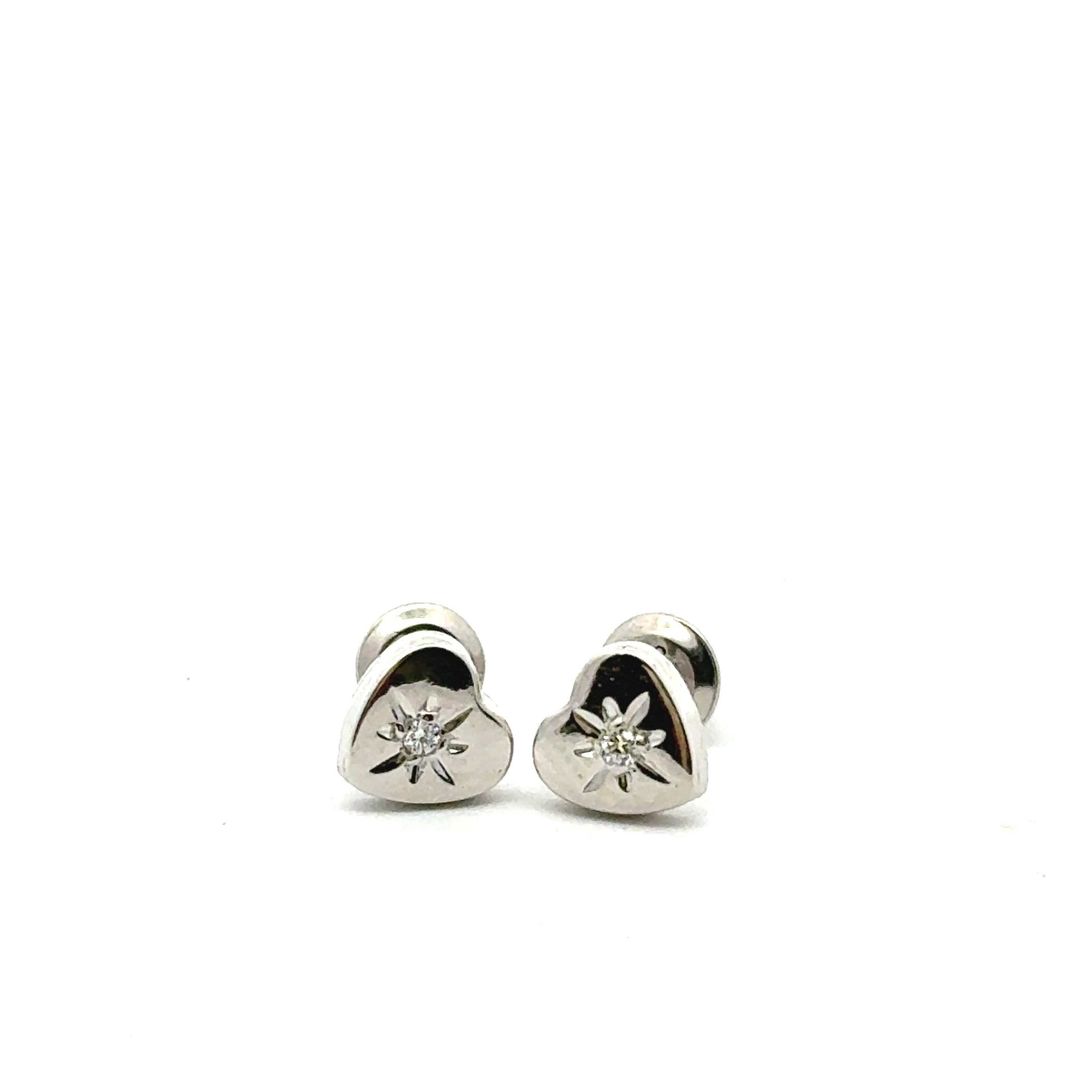 Silver Earring