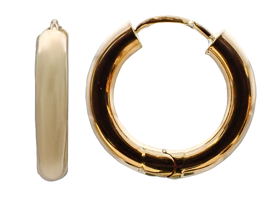 Precious Metal (No Stones) Earring