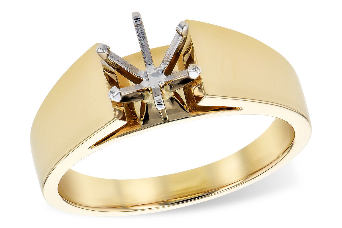 Precious Metal (No Stones) Remount