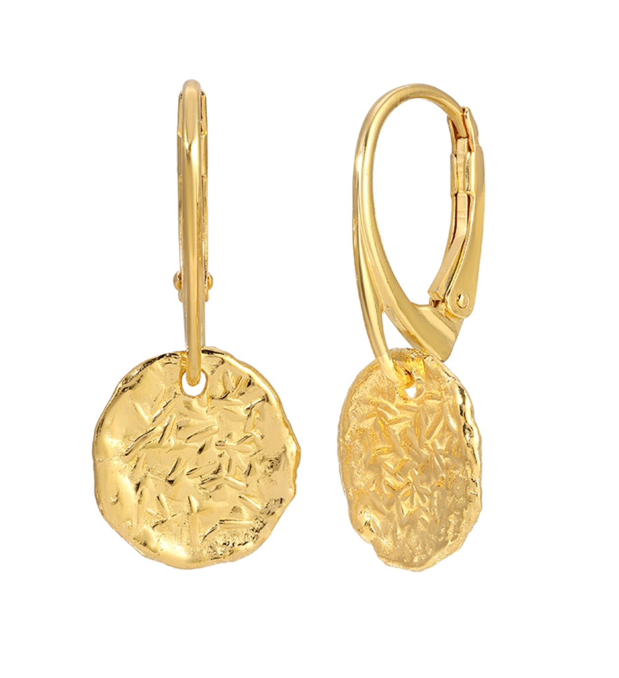 Silver Earring