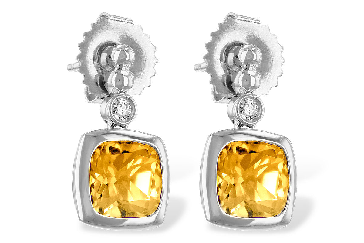 Colored Stone Earring